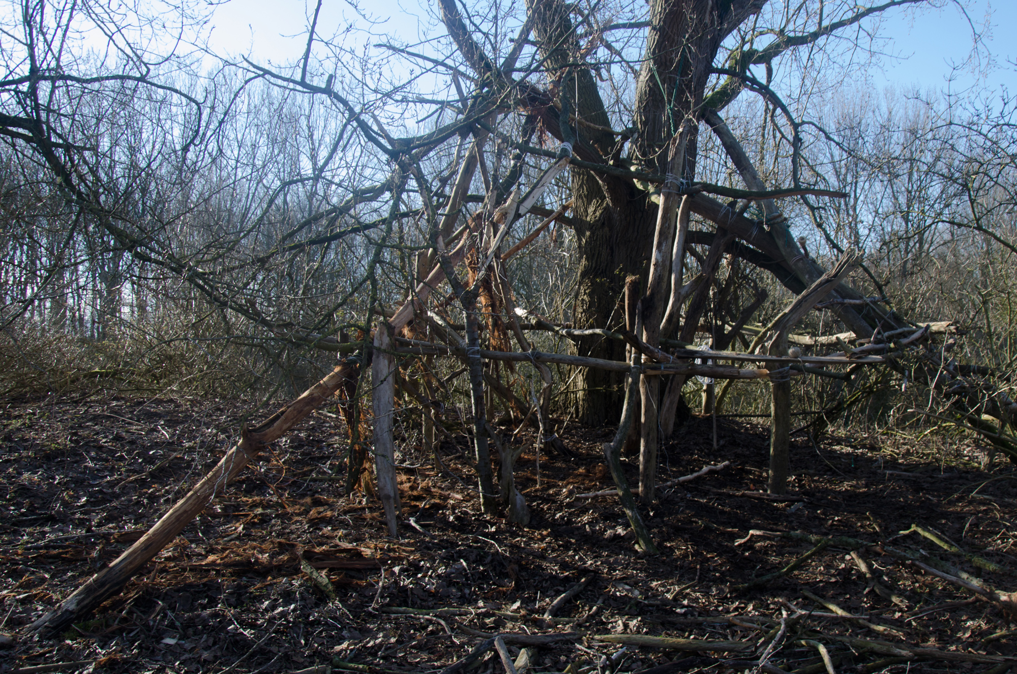 Treehouse by contemporary Belgian artist Pierre Coric